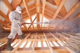 Best Crawl Space Insulation  in East Dubuque, IL