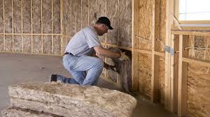 Best Attic Insulation Installation  in East Dubuque, IL