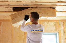 Best Wall Insulation Installation  in East Dubuque, IL