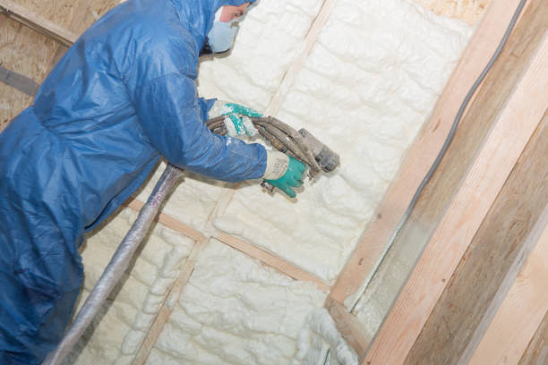 Best Eco-Friendly or Green Insulation Solutions  in East Dubuque, IL